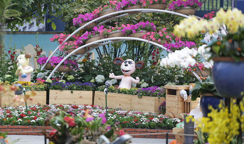 Ngắm đường hoa Tết Mậu Tuất trước giờ G